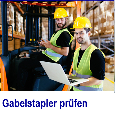 Software um Gabelstapler zu pr�fen Gabelstaplerpr�fung, StaplerGabelhubwagen, Staplerinformationssystem